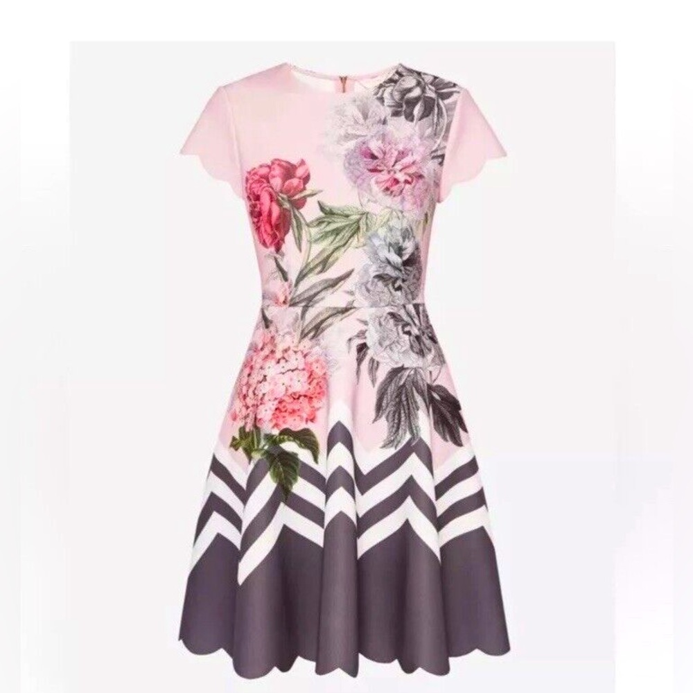 EUC Ted Baker Haiilie Palace Gardens Floral Scalloped  Skater Dress US Size 2